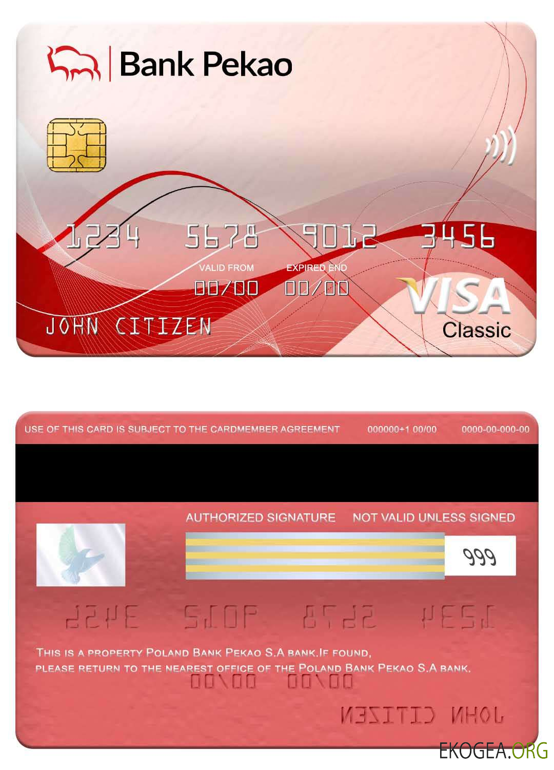 Pologne Banque Pekao S.A carte visa classique